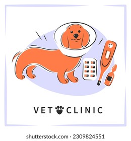 Veterinarian clinic or hospital for animals. Dogs treatment. Medicine for pets. Vector background