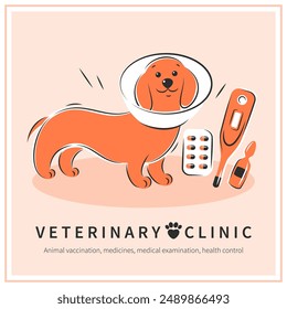 Clínica veterinaria u hospital para animales. Tratamiento para perros. Medicina para mascotas. fondo de Vector