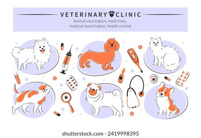 Veterinärklinik. Set von Werkzeugen für Tierkliniken. Tierimpfung, Arzneimittel, medizinische Untersuchung, Gesundheitskontrolle, Behandlung. Vektorgrafik
