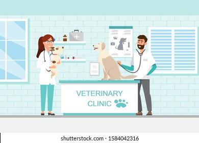 Veterinarian and doctor with dog and cat on counter in vet clinic. Vector illustration flat cartoon