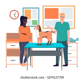 Veterinarian doctor holds dog on examination table. Pets health care in vet clinic. Domestic animals treatment concept. Veterinary professional consultation. Owner of dog communicates with doctor