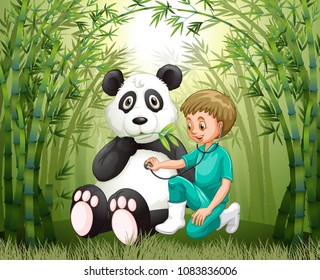 Veterinarian Doctor And Panda in Bamboo Forest illustration