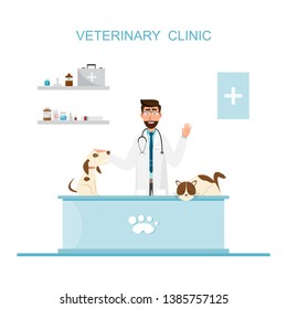 Veterinarian and doctor with pet on counter in vet clinic. Vector illustration flat cartoon