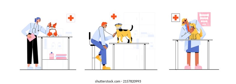 Médicos veterinarios examinan a los perros en la clínica. Ilustración vectorial plana del cuidado veterinario para mascotas. Los personajes con estetoscopio examinan los adorables cachorros sobre la mesa aislados sobre fondo blanco