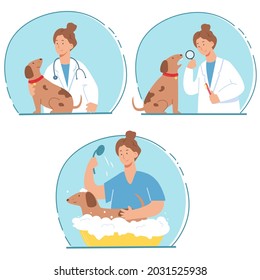 Veterinarian and dog at pet clinic. Services of veterinary clinic. 
Checkup, cleaning of teeth, washing and caring about fur.