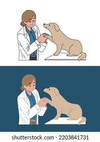 Veterinario examinando a un perro pardo