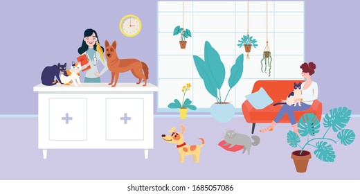 Veterinarian examining dog and cat in veterinary cabinet. Veterinary clinic, domestic animals, vet clinic.