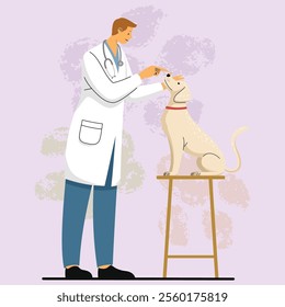 Veterinarian Examining a Friendly Dog, Vector Illustration