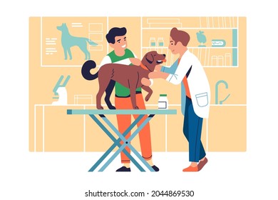 Veterinarian examining pet. Doctor treats dog