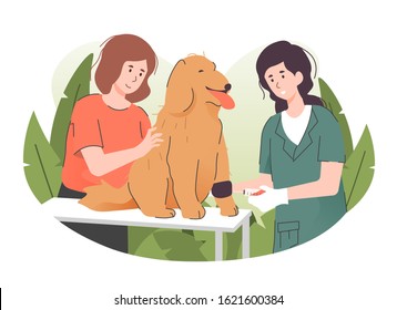 Veterinarian Giving Injection To A Dog In Vet Clinic. Pet Health Care And Medical Concept