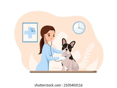 A veterinarian listens to a French bulldog with a stethoscope. Flat design