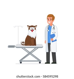 Veterinarian man in office. Veterinary clinic vector concept illustration. 