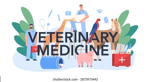 Veterinarian medicine typographic header. Veterinary doctor checking and treating animal. Idea of pet care. Farm and zoological garden animal medical treatment. Vector flat illustration