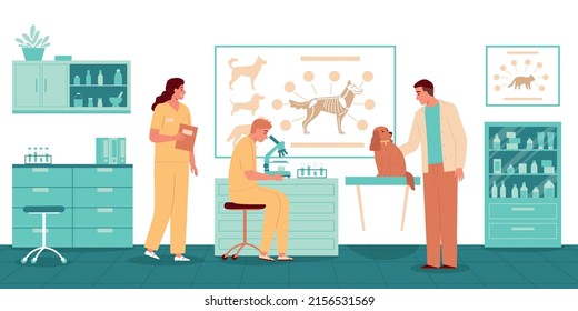 Veterinarian occupation flat background with man dog and pet doctors studying canine parasites under microscope in lab vector illustration