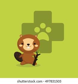 veterinarian related icons image 