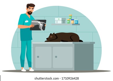 Veterinarian specialist works vector illustration . Man doctor character examines dog, showing x-ray.  Puppy visit veterinary for check up health. Vet clinic, animal care, pet medical treatment