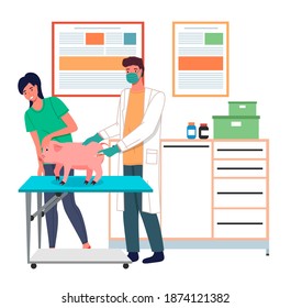 A veterinarian with a syringe injects a pig. Vaccination of pets in the veterinary clinic. Domestic animals treatment concept. Veterinary professional consultation. The assistant holds the pig's snout