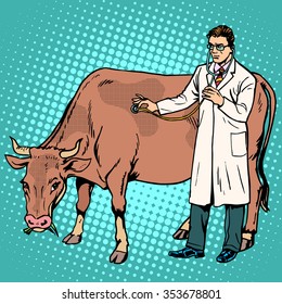 Veterinarian treats a cow farm animal medicine pop art retro style. Agriculture and health allowed. Professionals at work