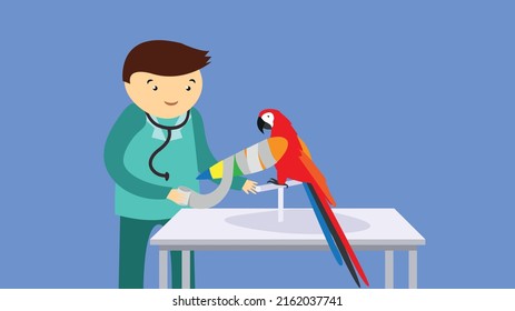 Veterinarian treats the wing of a parrot