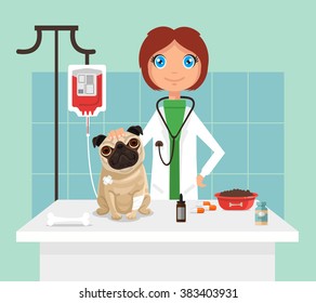 Veterinarian. Vetor flat illustration