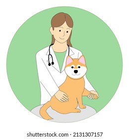 Veterinarian woman examining a Shiba Inu with a white background