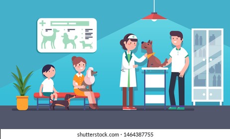 Veterinarian Woman Examining Terrier Dog In Veterinary Clinic. Clients Sitting On Bench With Pets. Canine Vet Service Doctor. Dogs Health Care Medical Checkup. Office Interior Flat Vector Illustration