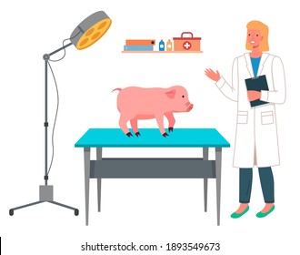 Veterinarian woman makes a pig inspection in the medical office. Doctor prescribes treatment to piggy, funny pink patient farm animal. Visit to the vet clinic to check the health of the animal