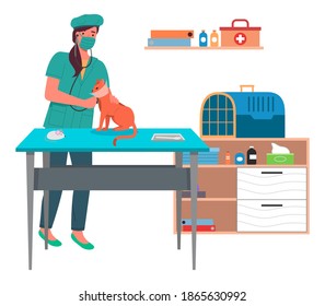 Veterinarian wooman treats a red cat in the medical office. Master brought a kitty in a cage for treatment to a doctor. Visit to the veterinary clinic to check the health of the animal, pet care