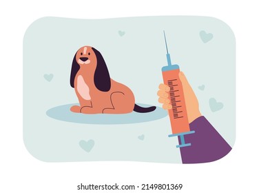 Veterinarians hand holding syringe for injection to little dog. Treatment or vaccination of pet from person flat vector illustration. veterinary concept for banner, website design or landing web page