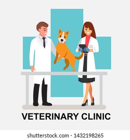 Veterinarians medical team with cute animals vector illustration. Cartoon Veterinary and animals, vector and illustration Background