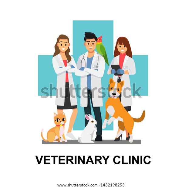 Veterinarians Medical Team Cute Animals Vector Stock Vector (Royalty ...