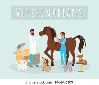 Veterinarians work flat vector illustration. Male, female vets, doctors examining horse, stallion cartoon characters. Veterinary clinic, hospital workers treating cats, dogs, checking animals health