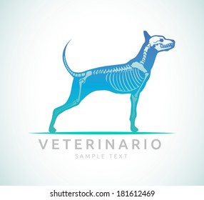 Veterinario - Veterinarian spanish text - Veterinary care - dog care