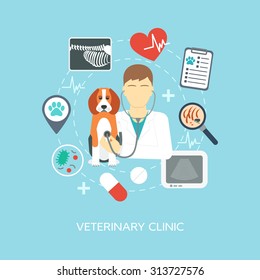 Veterinary banner, background, poster, concept. Vet clinic. Flat design. Vector illustration