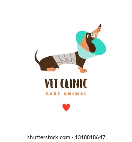 Veterinary care. Care of animals. Cute dog Dachshund with a bandage in a veterinary collar. The emblem of the clinic. Vector illustration of a sticker.