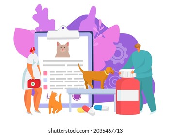 Veterinary care in clinic, vector illustration. Vet doctor character help pet, veterinary medicine pills for dog, cat health. Man woman stand