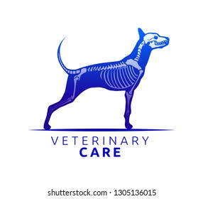 Veterinary Care Emblem Design, Bone Scan Dog Care vector illustration