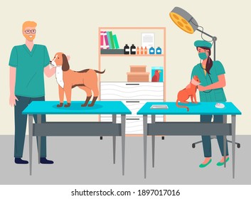 Veterinary care flat illustration. Veterinarian doctors treat cat and dog in the medical office. Visit to the vet clinic to check the health of the animal. Routine vaccination of home animals