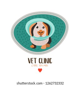Veterinary care. Sticker, vector illustration for veterinary clinic. Cute little rabbit with veterinary collar.