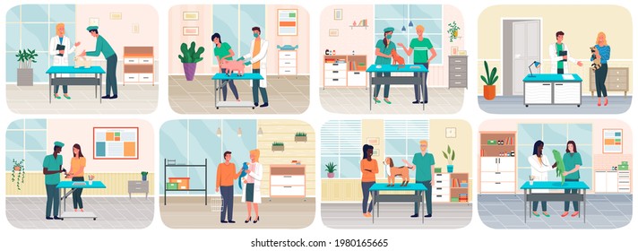 Veterinary care, treatment of pets scenes set. Veterinarian talking to owner in medical office. Visit to vet clinic to check health of pet. Veterinary surgeon helps treat patients domestic animals