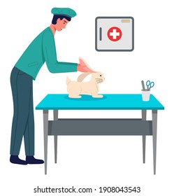 Veterinary care. Veterinarian doctor treat rabbit ears in the medical office. A nurse put a white hare on a medical table and makes him an examination. Visit to vet clinic to check health of animal