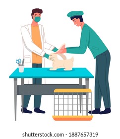 Veterinary care. Veterinarian doctors treat rabbit ears in the medical office. Person brought a hare in a cage for treatment to a doctor. Visit to the vet clinic to check the health of the animal