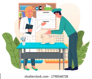 Veterinary care. Veterinarian man looking at ears of white rabbit, checking health of domestic pet. Treatment of animals in veterinary clinic. Visit doctor in vet hospital. Interior of medical office
