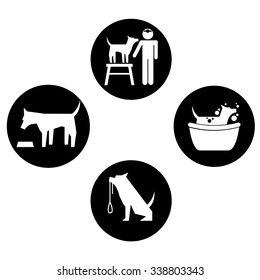 veterinary centre design, vector illustration eps10 graphic 
