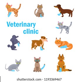 Veterinary clinic. Animals with bandaged paws Vector. Cartoon. Isolated art on white background. Flat svg