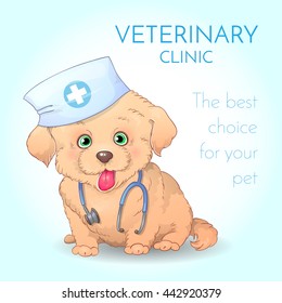 Veterinary clinic banner with funny puppy dog looks like a doctor. Medical hand-drawn poster. Happy little dog with doctoral cap and stethoscope.