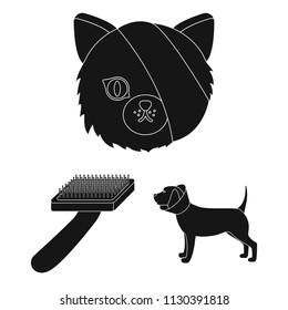 Veterinary clinic black icons in set collection for design. Treatment of a pet vector symbol stock web illustration.