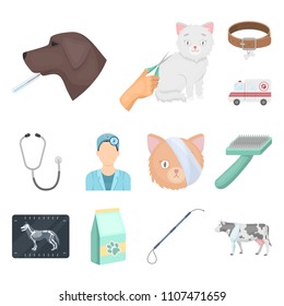 Veterinary clinic cartoon icons in set collection for design. Treatment of a pet vector symbol stock web illustration.