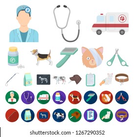 Veterinary clinic cartoon,flat icons in set collection for design. Treatment of a pet vector symbol stock web illustration.