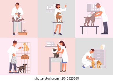 Veterinary clinic compositions set of flat animals and characters of medical specialists taking care of pets vector illustration
